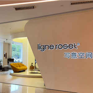 Imagen de la tienda SHENZHEN SANFANG
